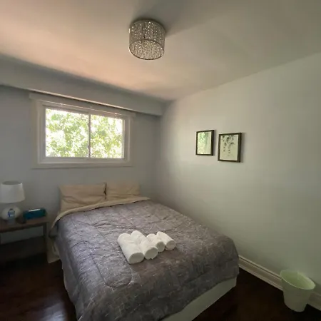 Yonge And Finch Subway !Q Spacious & Quiet Private Bdr With Shared Bathroom